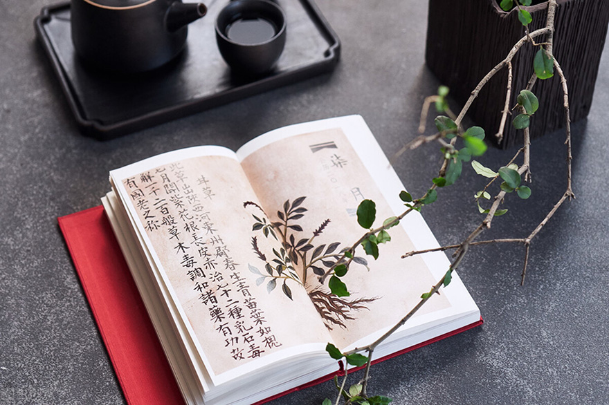 中庸之“道”不能译成“道所生的办法”