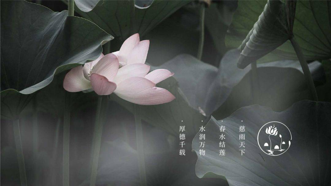 主仆人伦第一节：不学主仆伦损害何其大